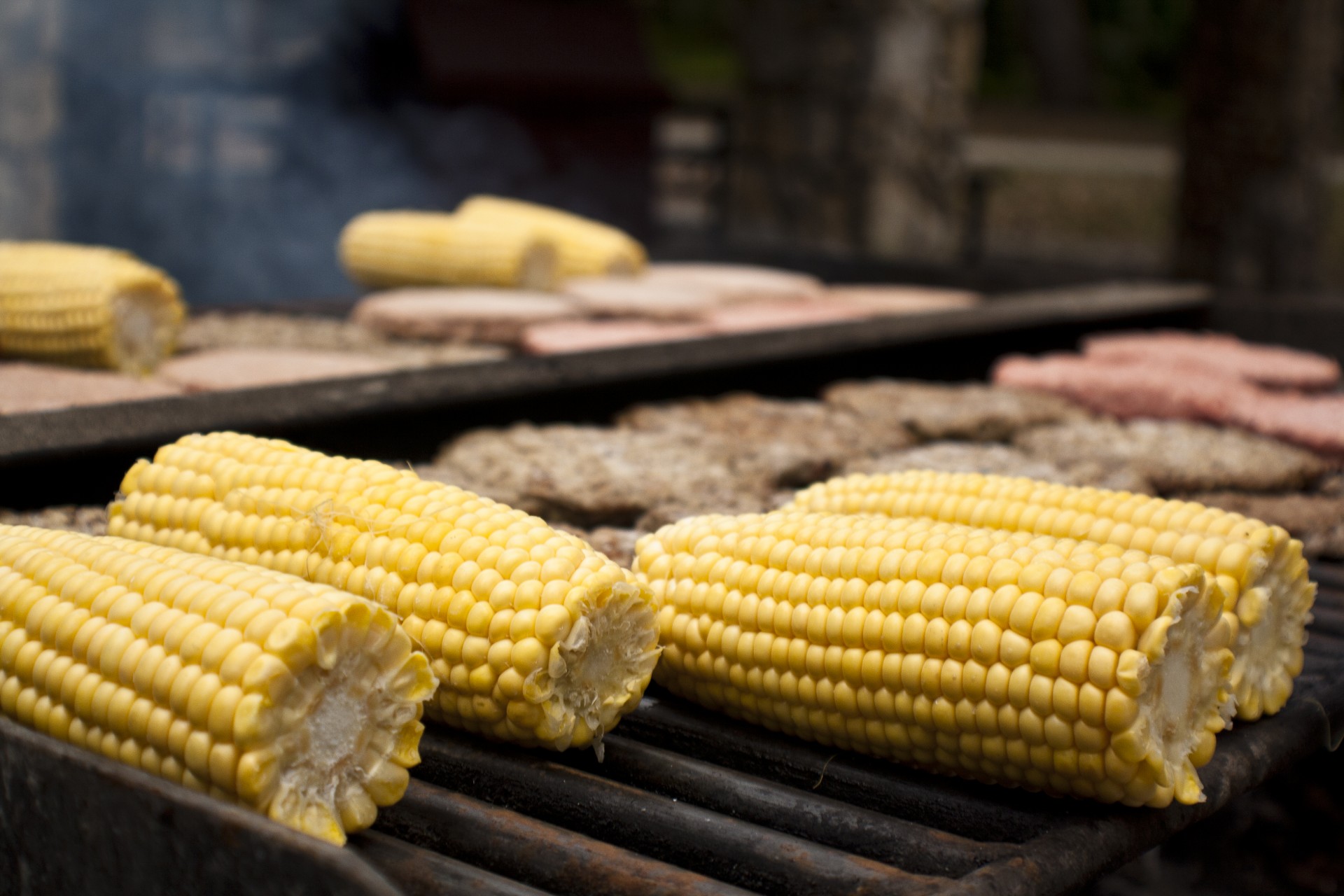 barbecue sweet corn free photo