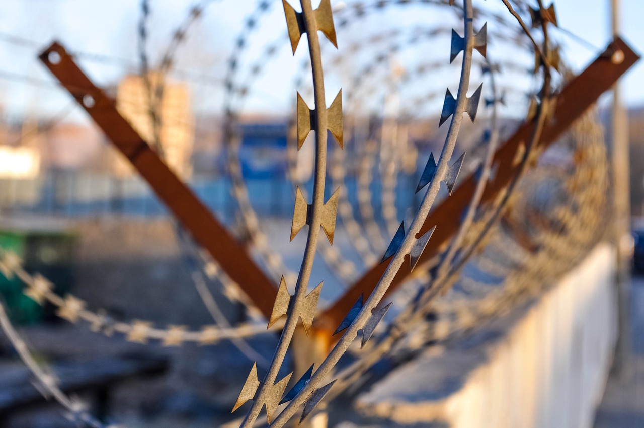 barbwire barbed wire security free photo