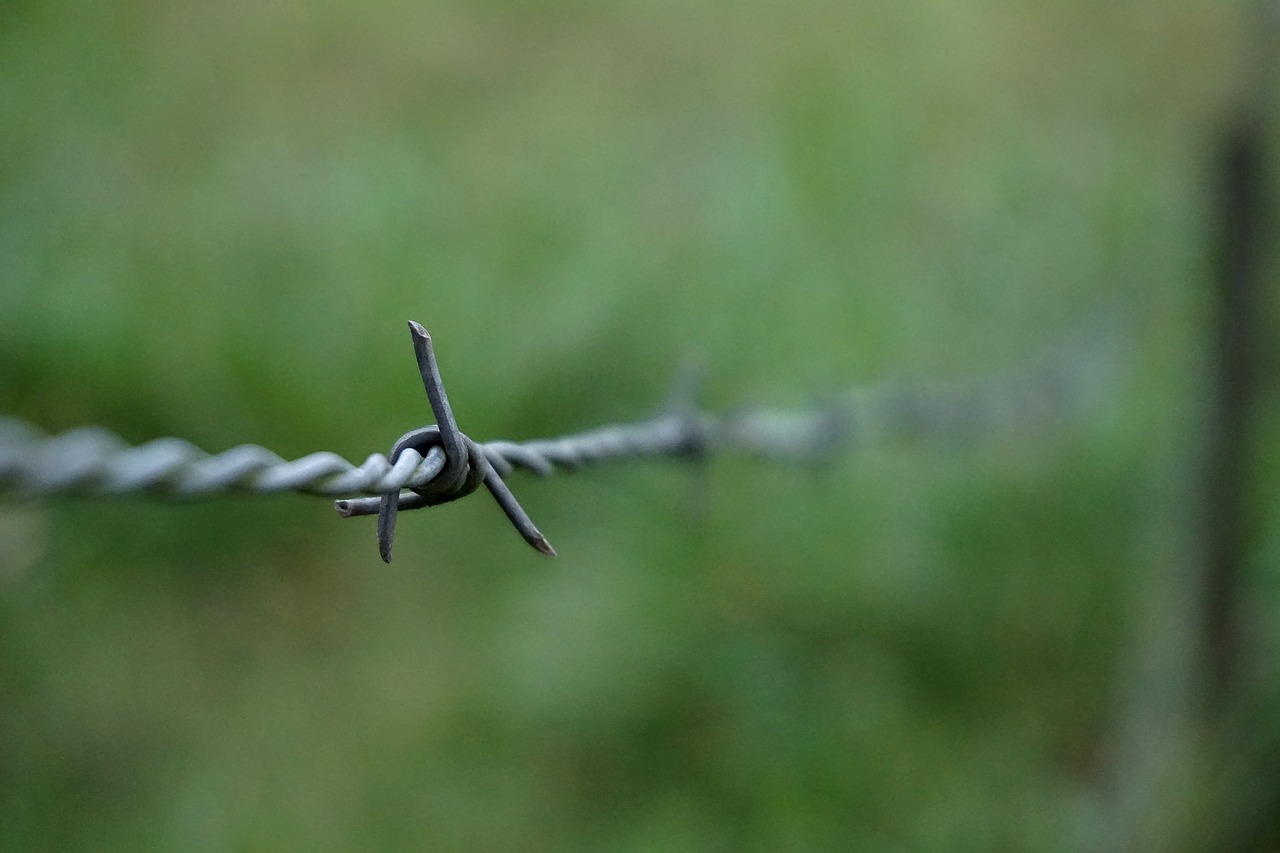 barbwire fence wire free photo