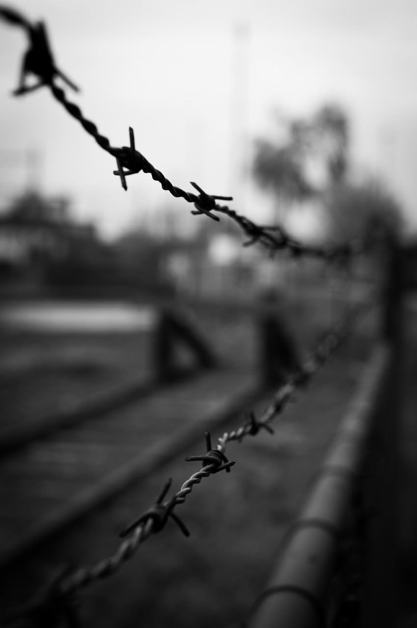 barbwire barbed wire wire free photo