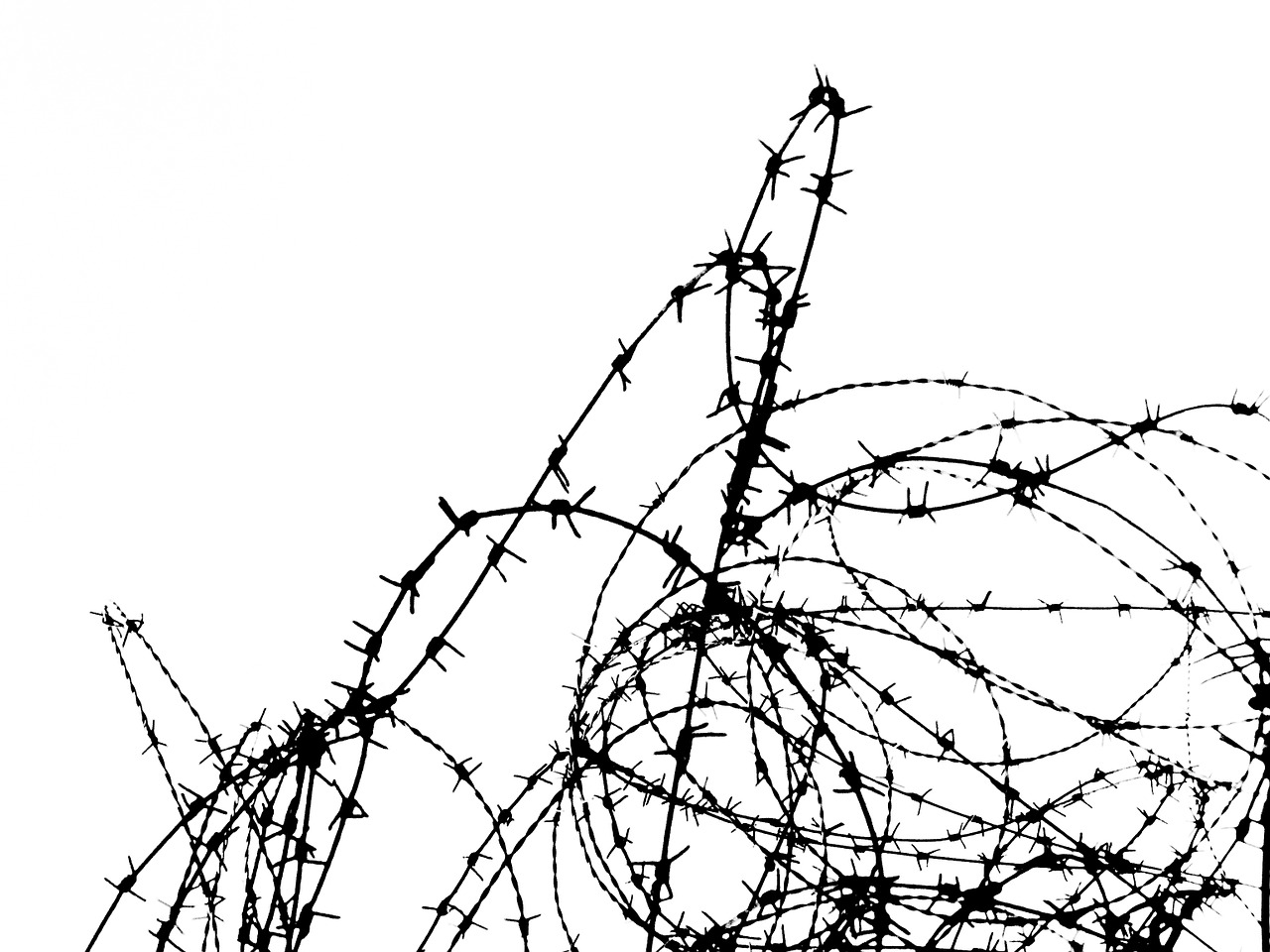 barbwire fense border free photo