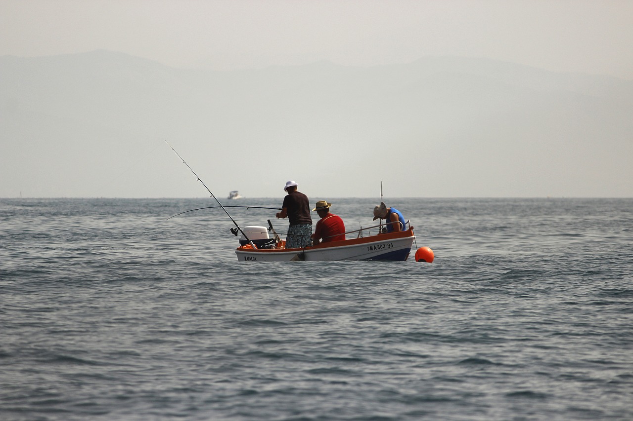 barca fishing cañas free photo