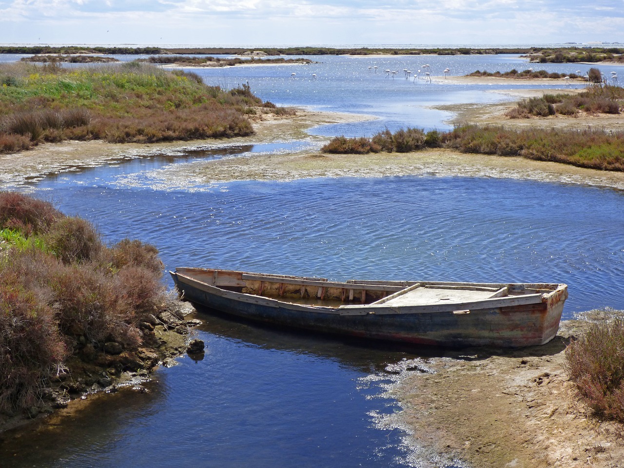 barca abandoned marshes free photo