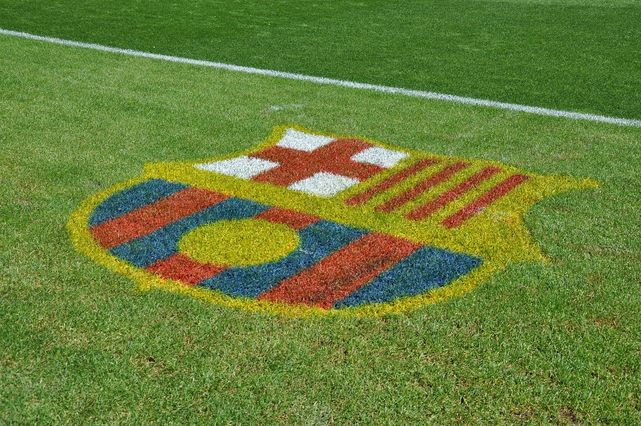 barcelona football grass free photo