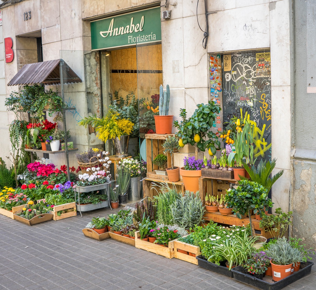 barcelona spain flower shop free photo