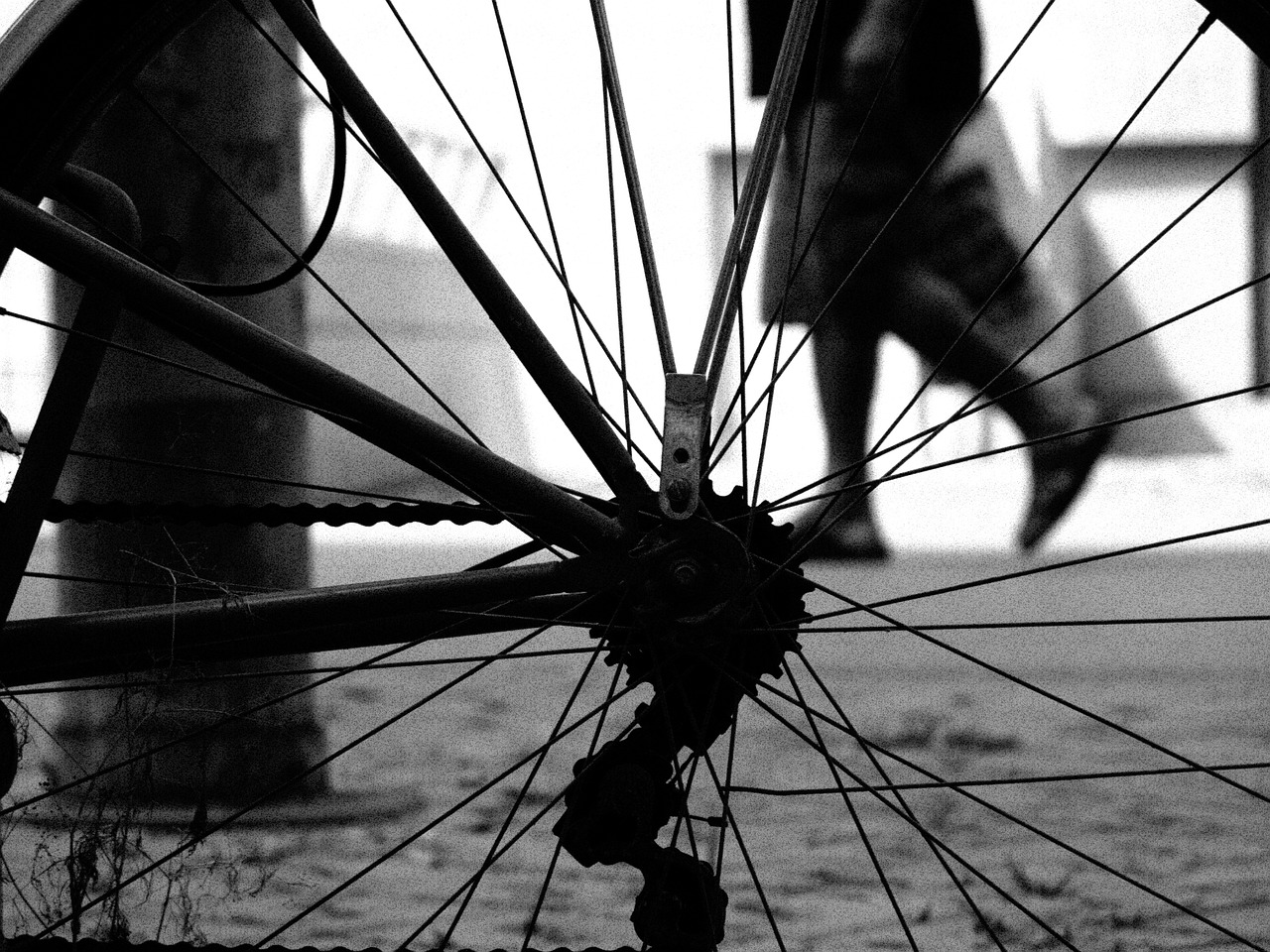 barcelona street bicycle free photo