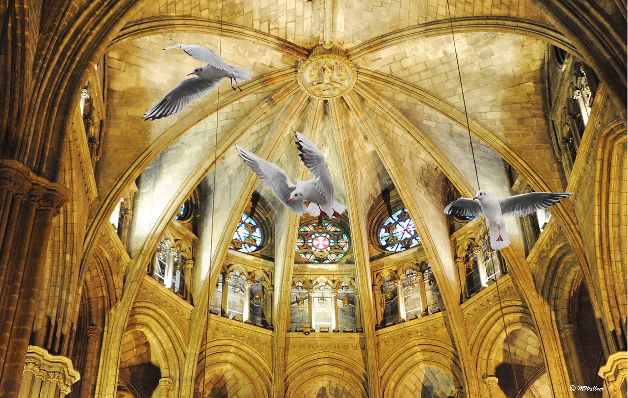 barcelona cathedral gulls free photo