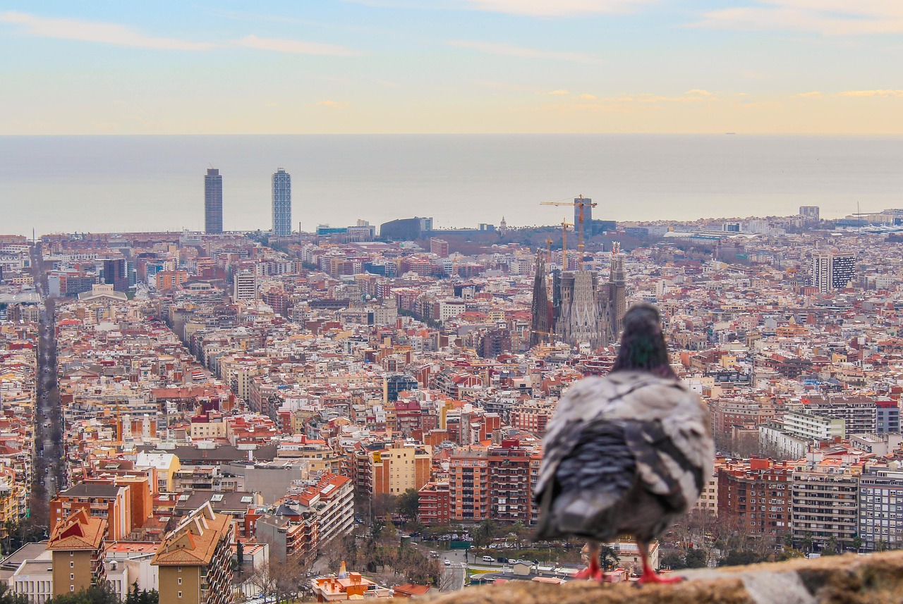 barcelona  sagrada família  paloma free photo