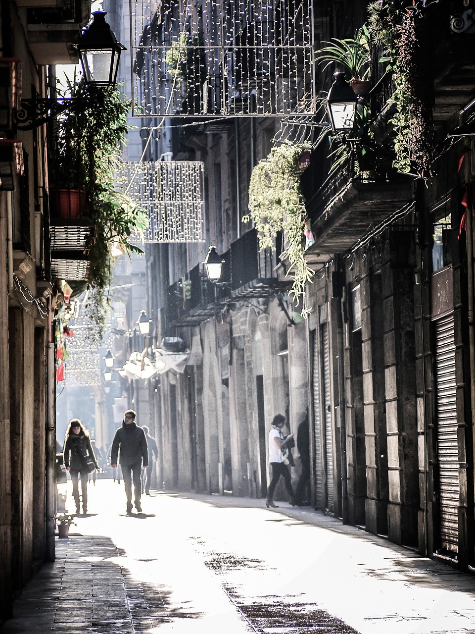 barcelona street urban free photo