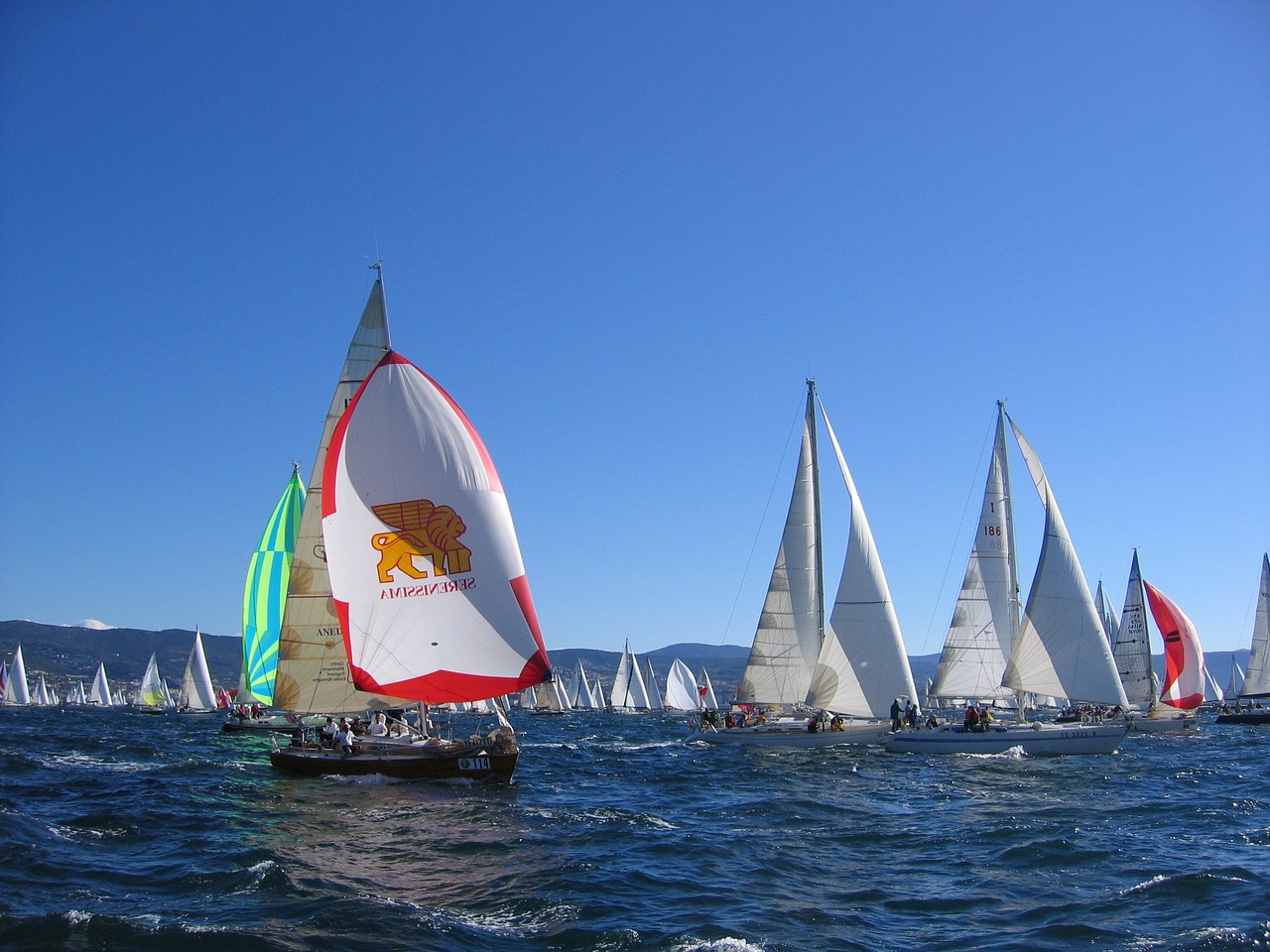 barcolana wind sails free photo