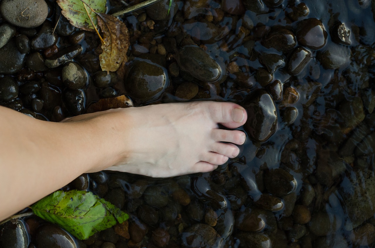barefoot  foot  creek free photo
