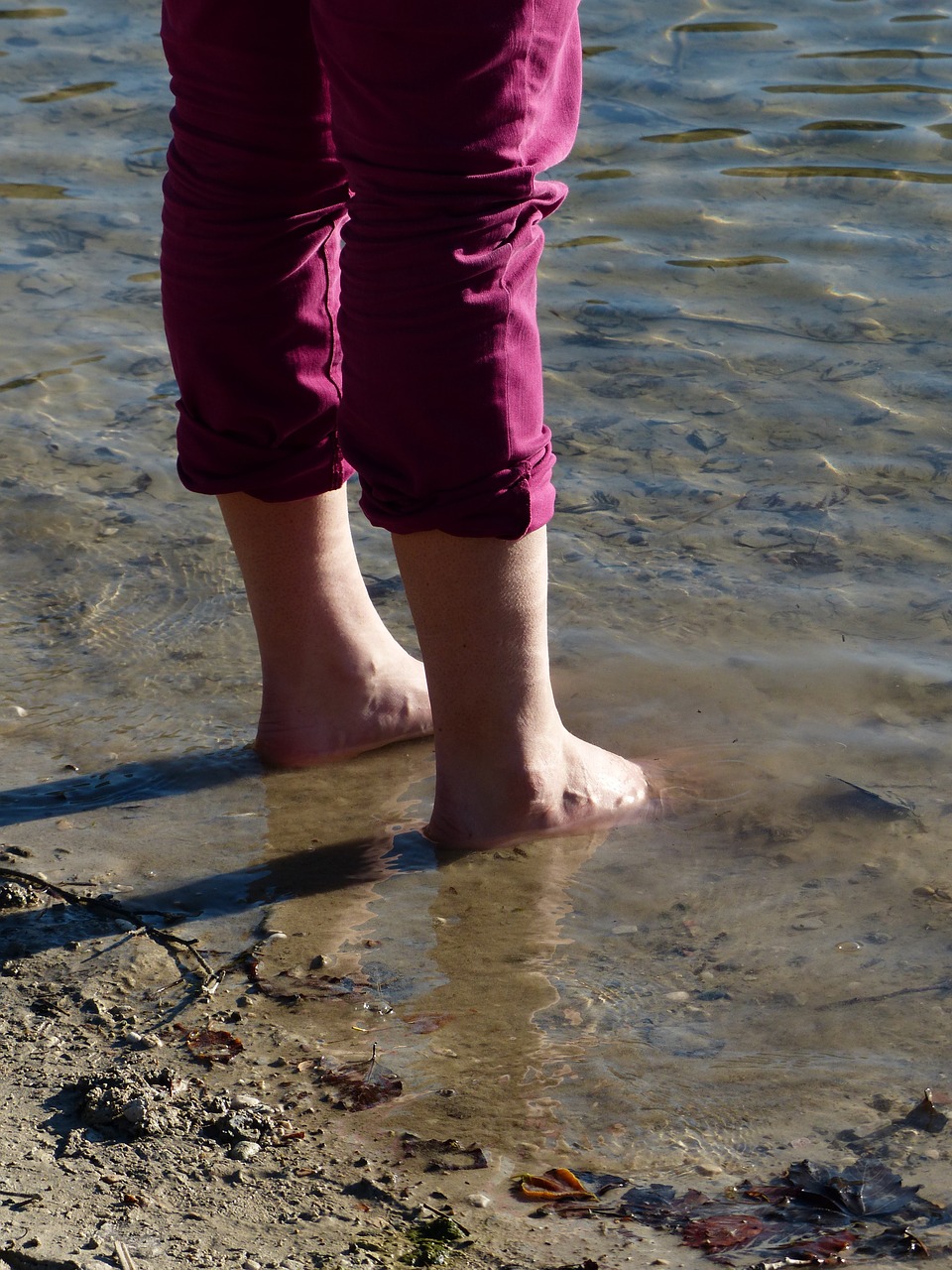 barefoot water lake free photo