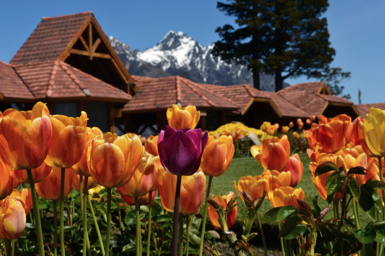 bariloche  llao llao  patagonia free photo