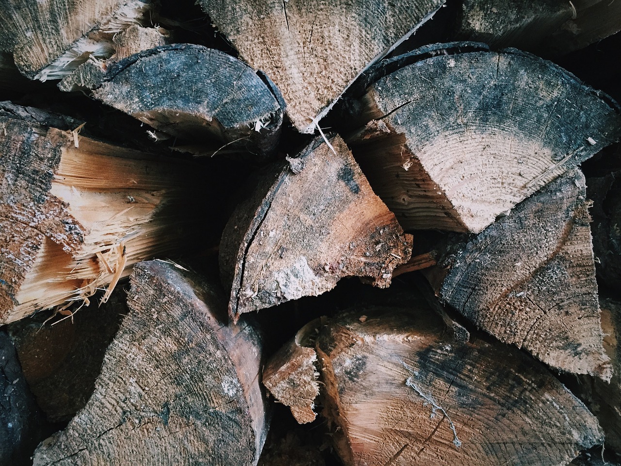 bark cut industry free photo