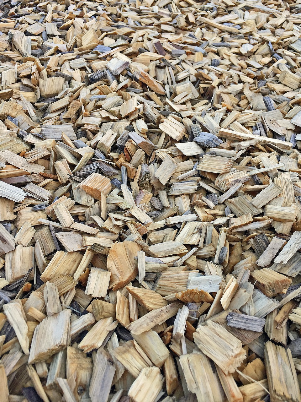 bark mulch background wood pieces free photo