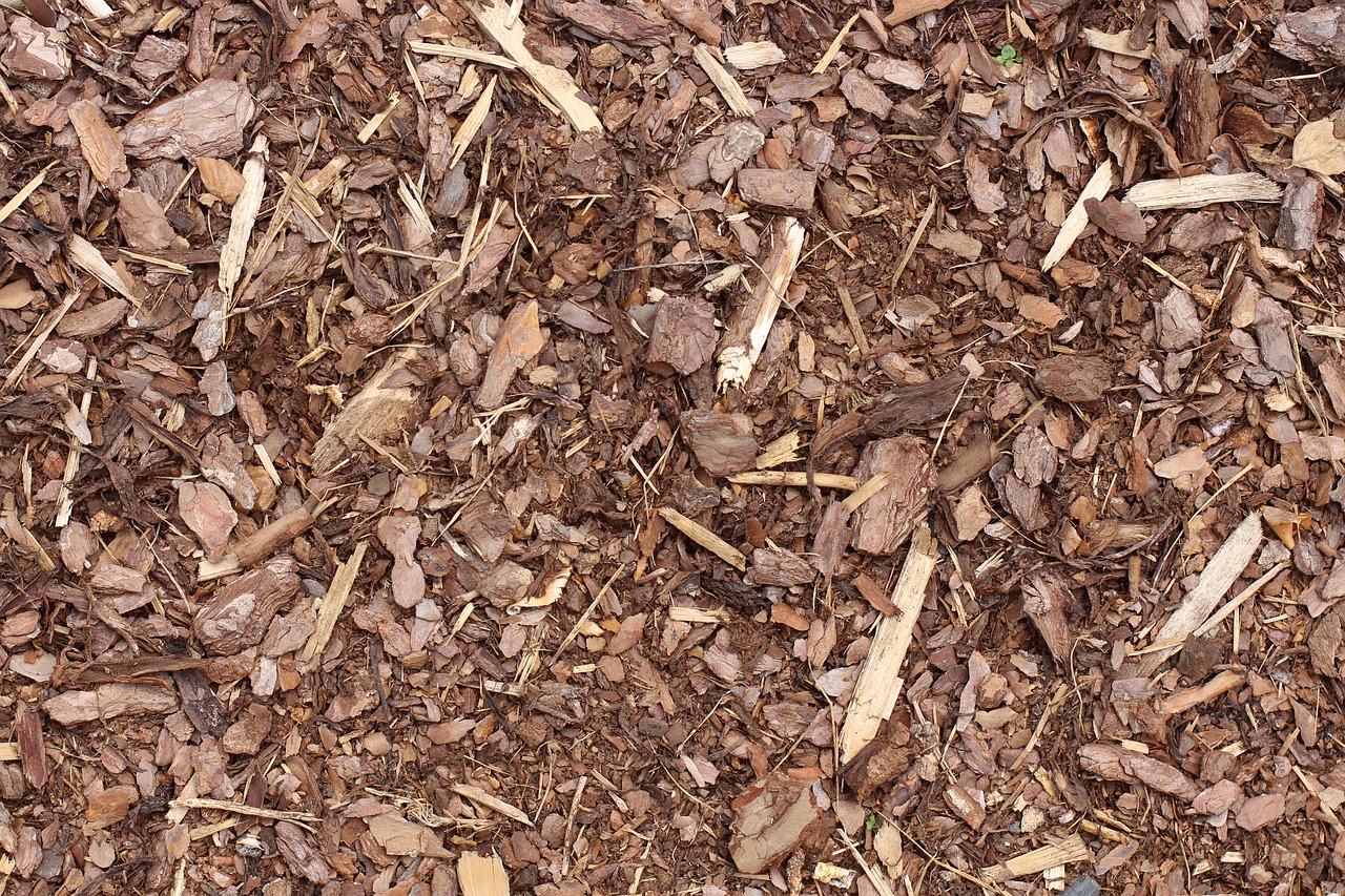 bark mulch  texture  background free photo