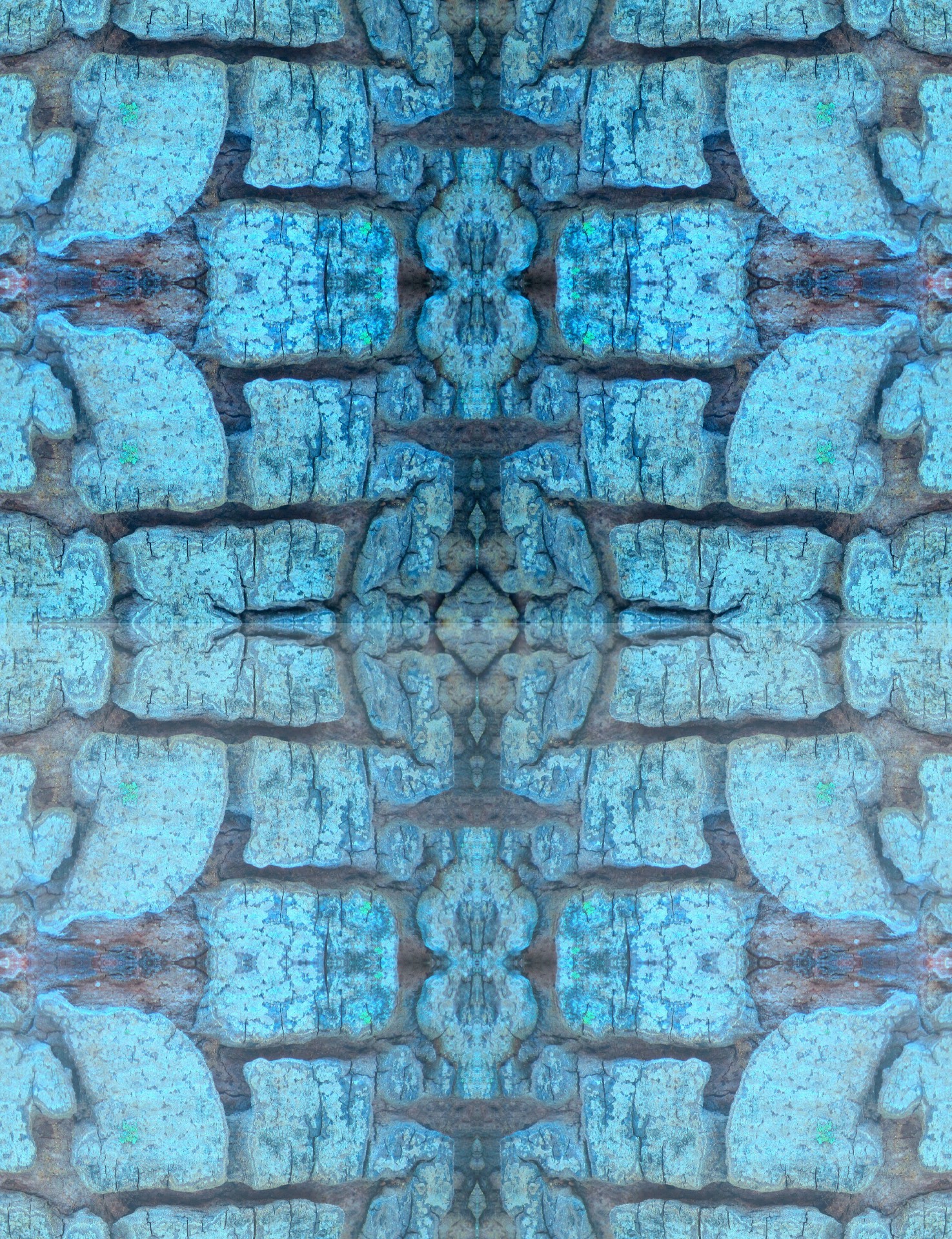 pattern geometric bark free photo