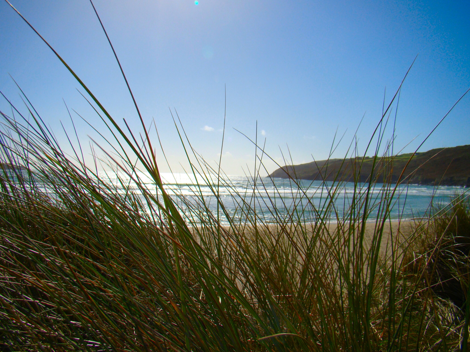 beach water sea free photo