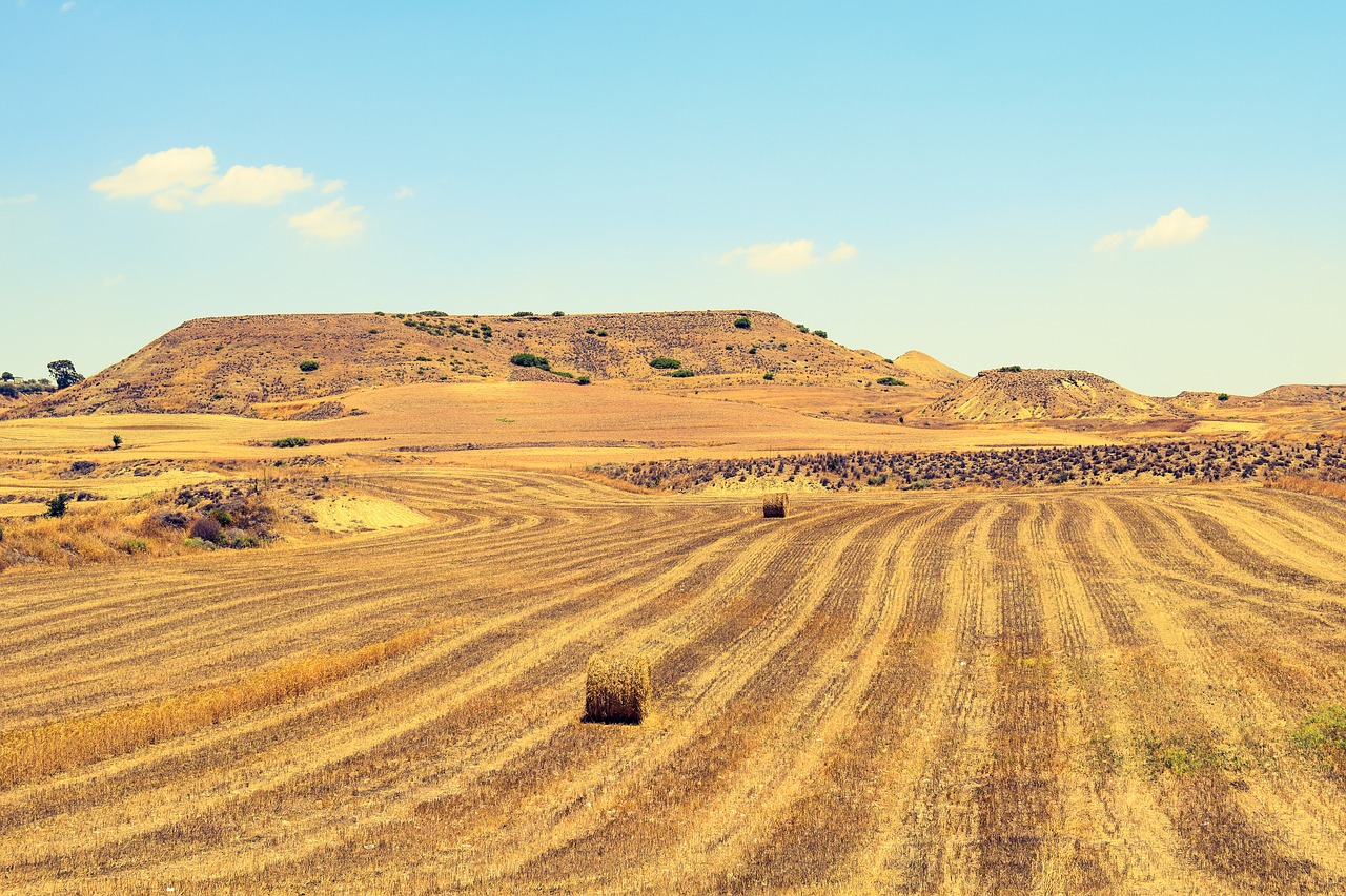 barley fields landscape agriculture free photo