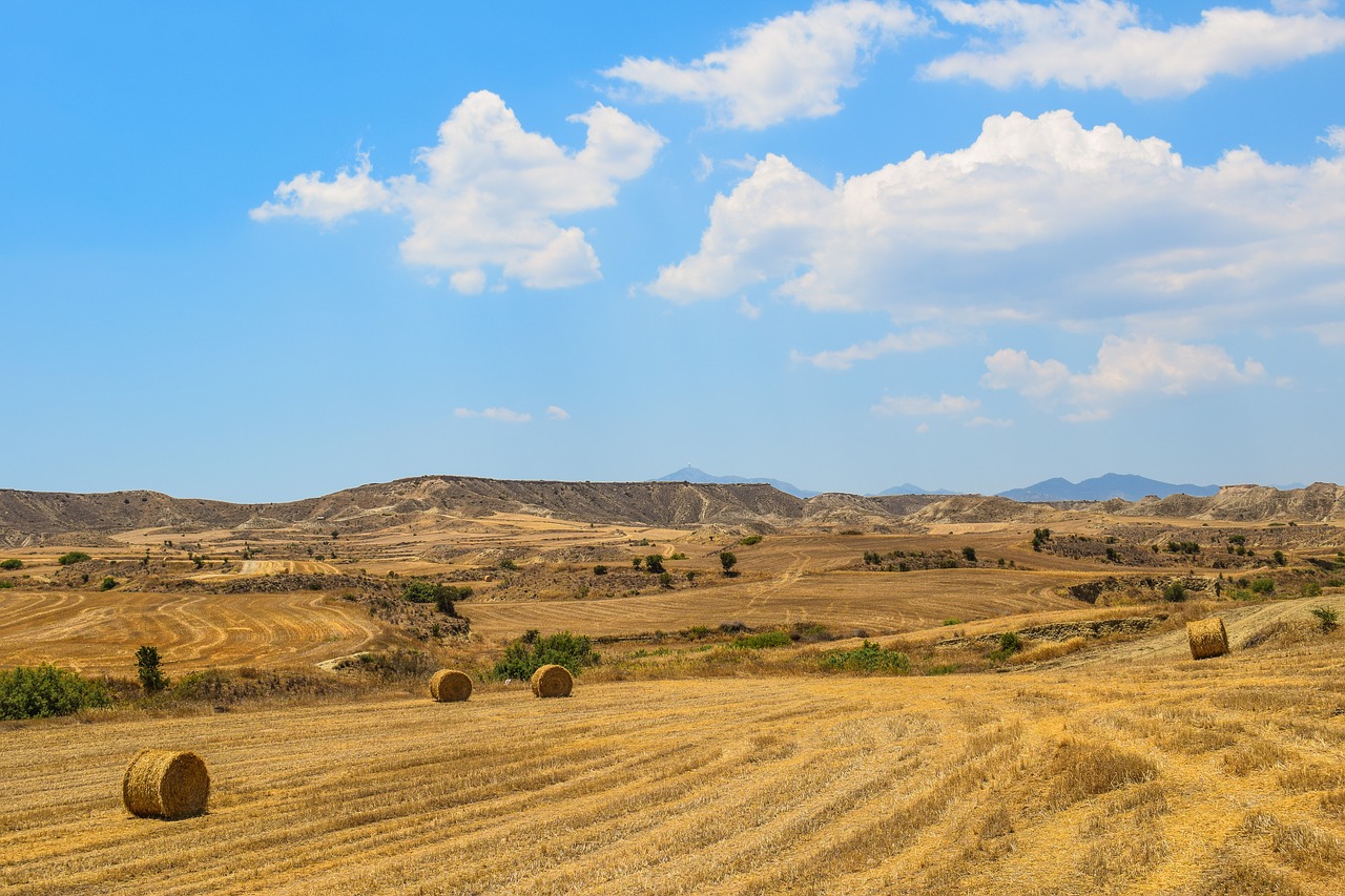 barley fields hay bales landscape free photo