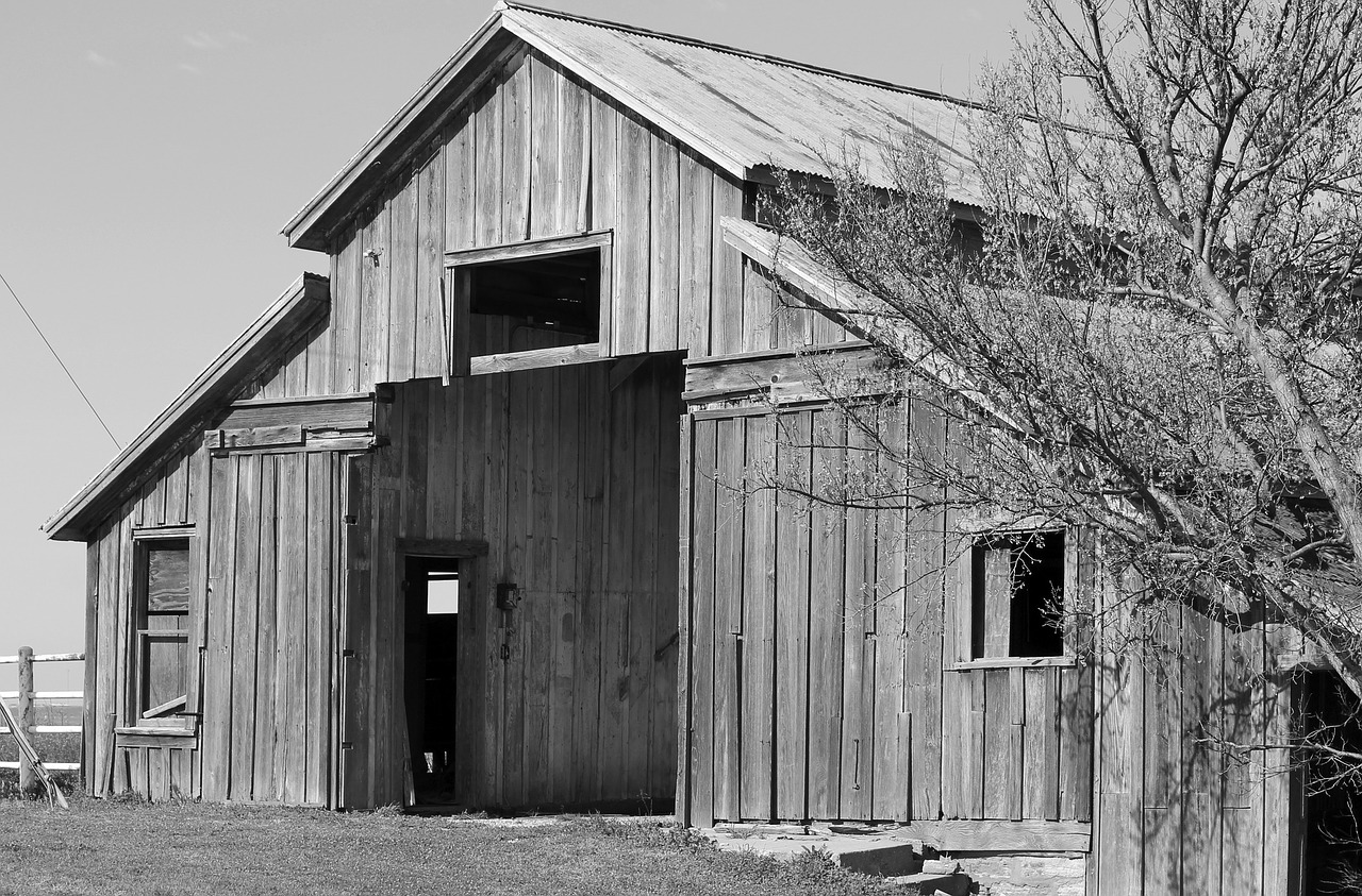 barn old historic free photo