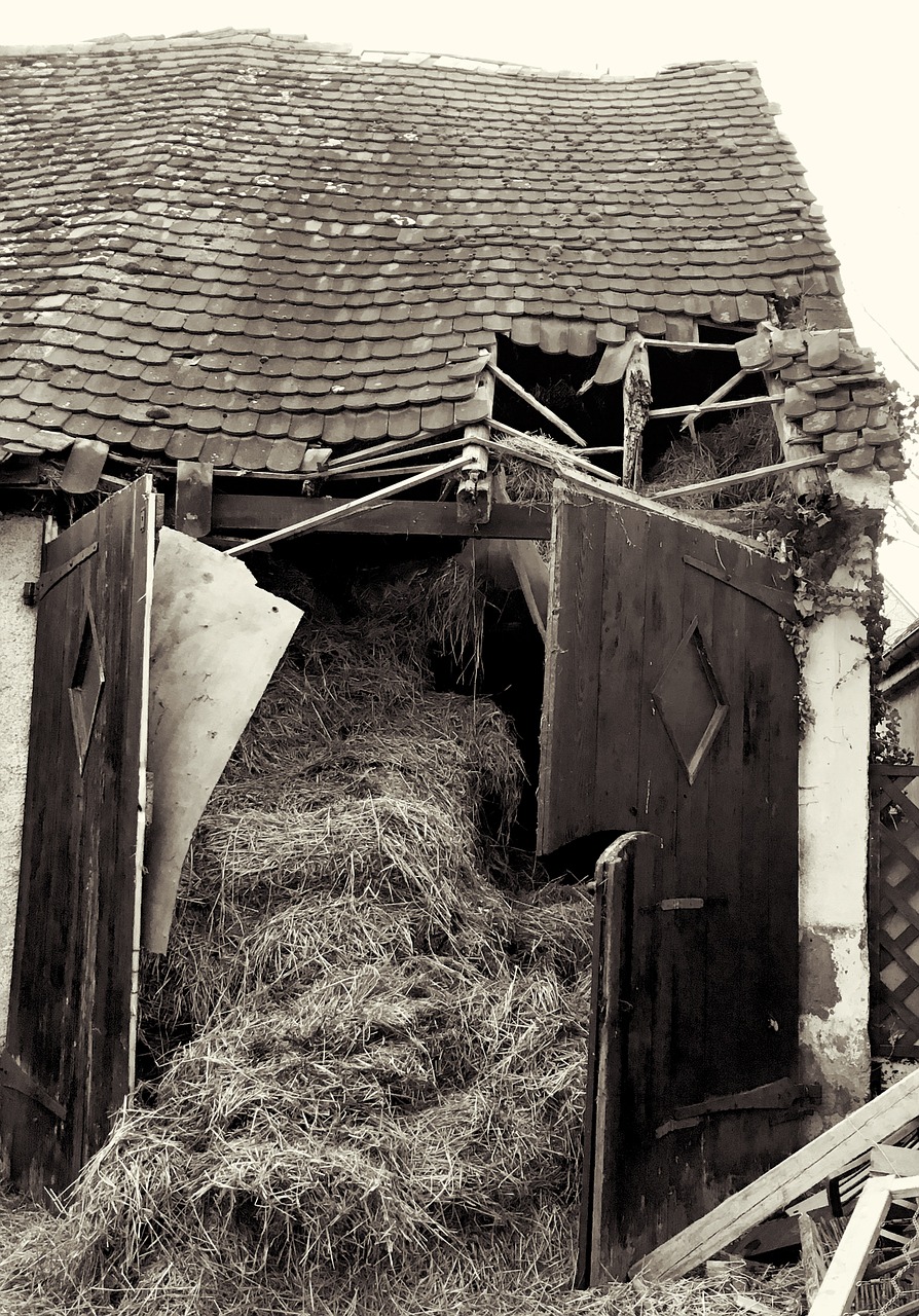 barn straw straw bales free photo