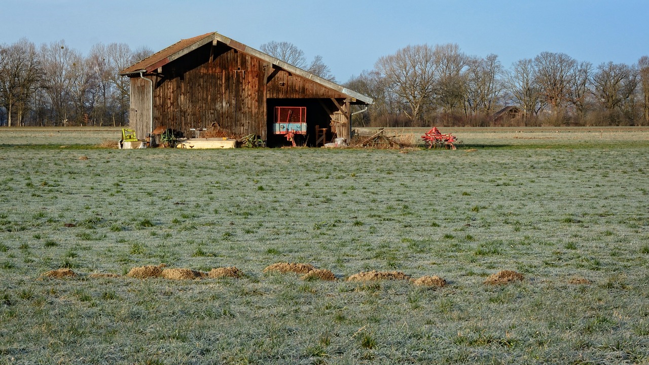 barn hut log cabin free photo