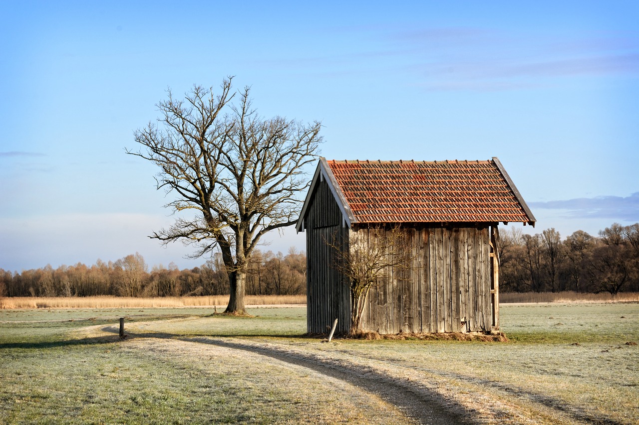 barn hut log cabin free photo