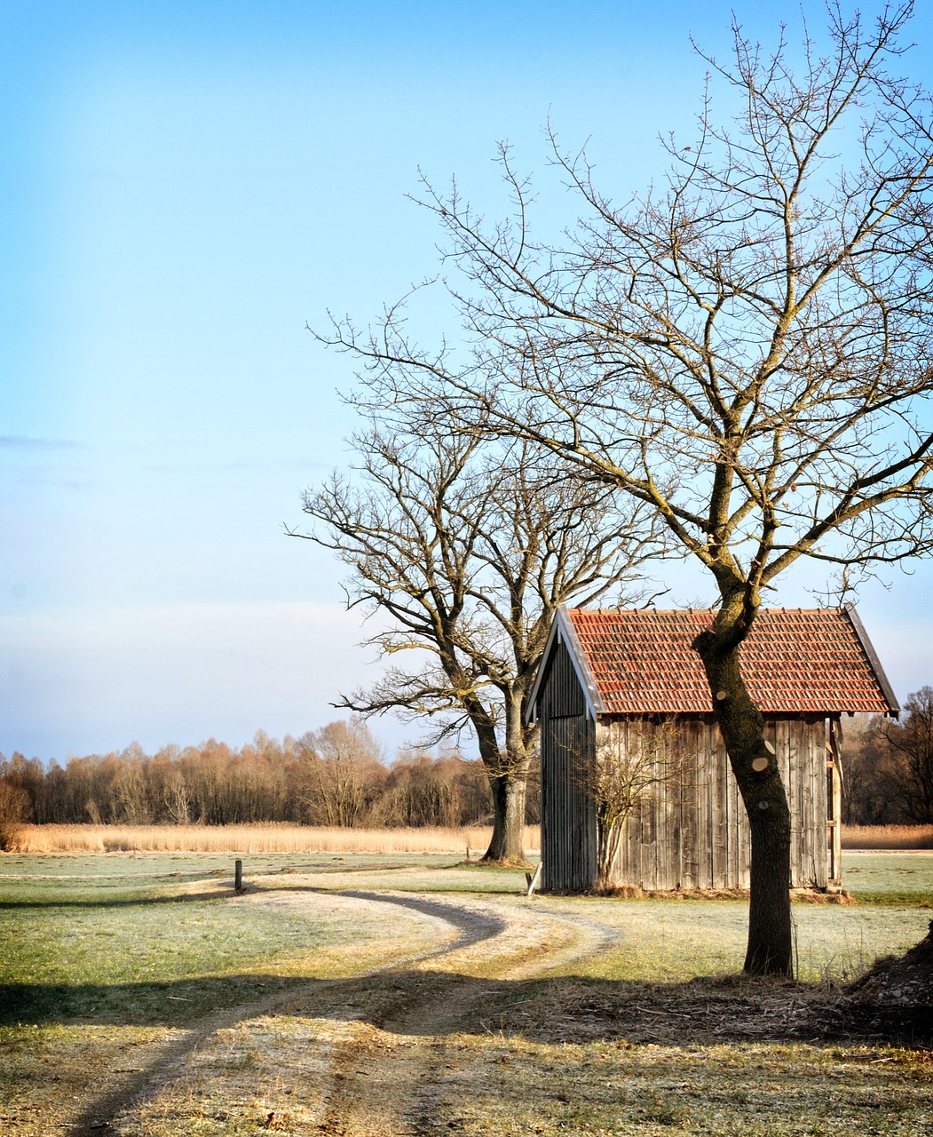 barn hut log cabin free photo