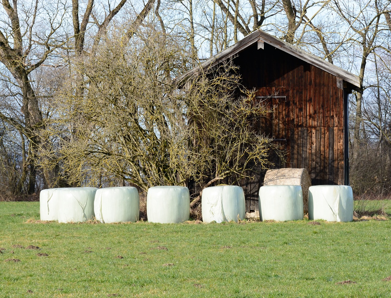 barn hut field barn free photo