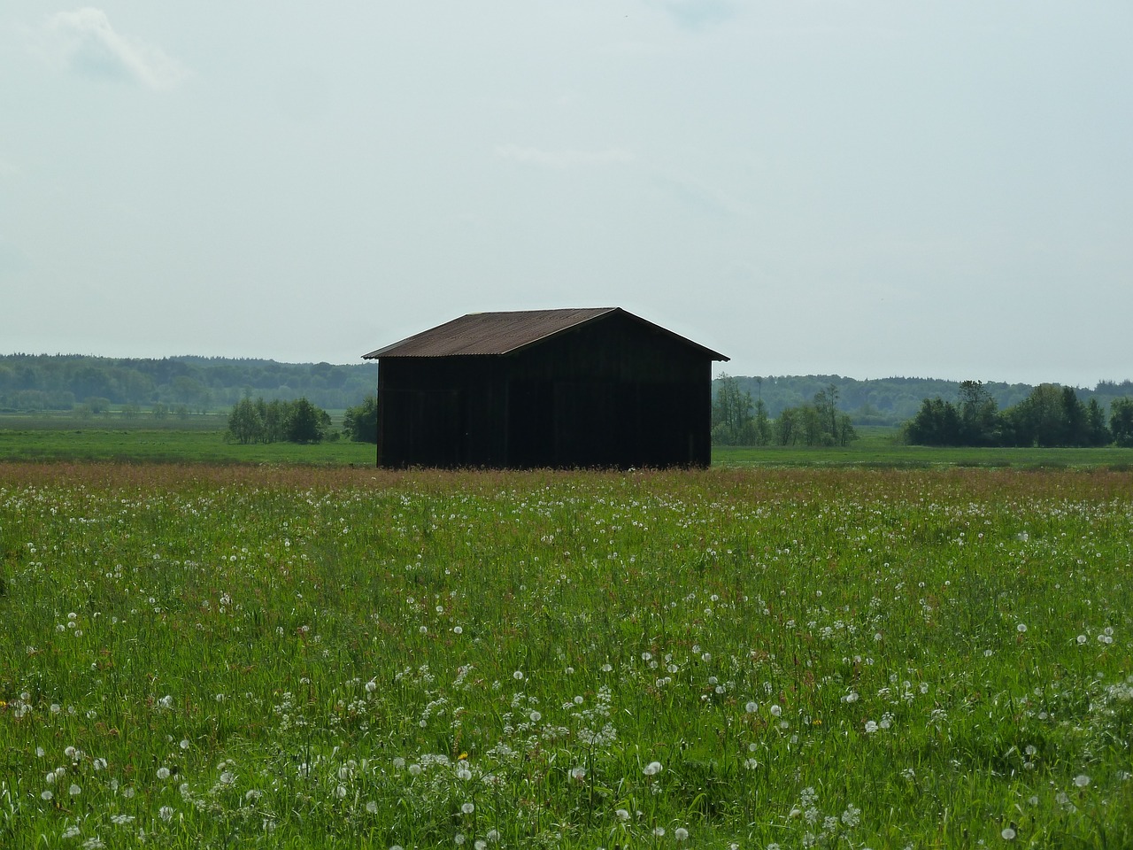 barn summer grass free photo