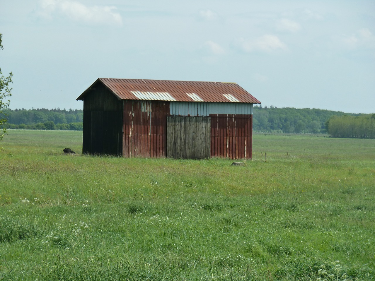 barn grass summer free photo