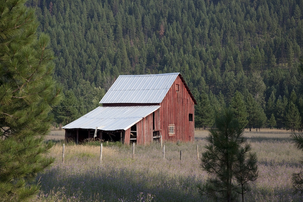 barn ranch wood free photo