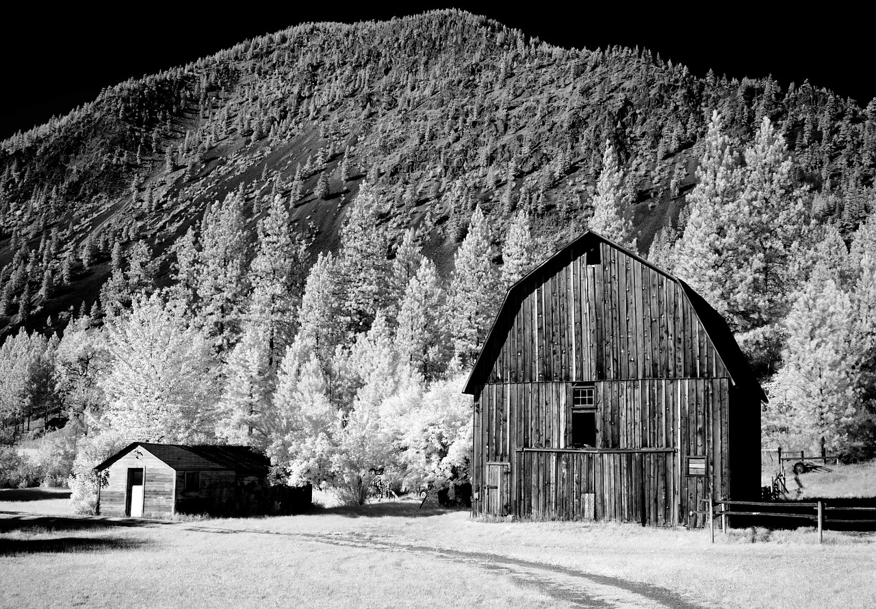 barn stadl agriculture free photo