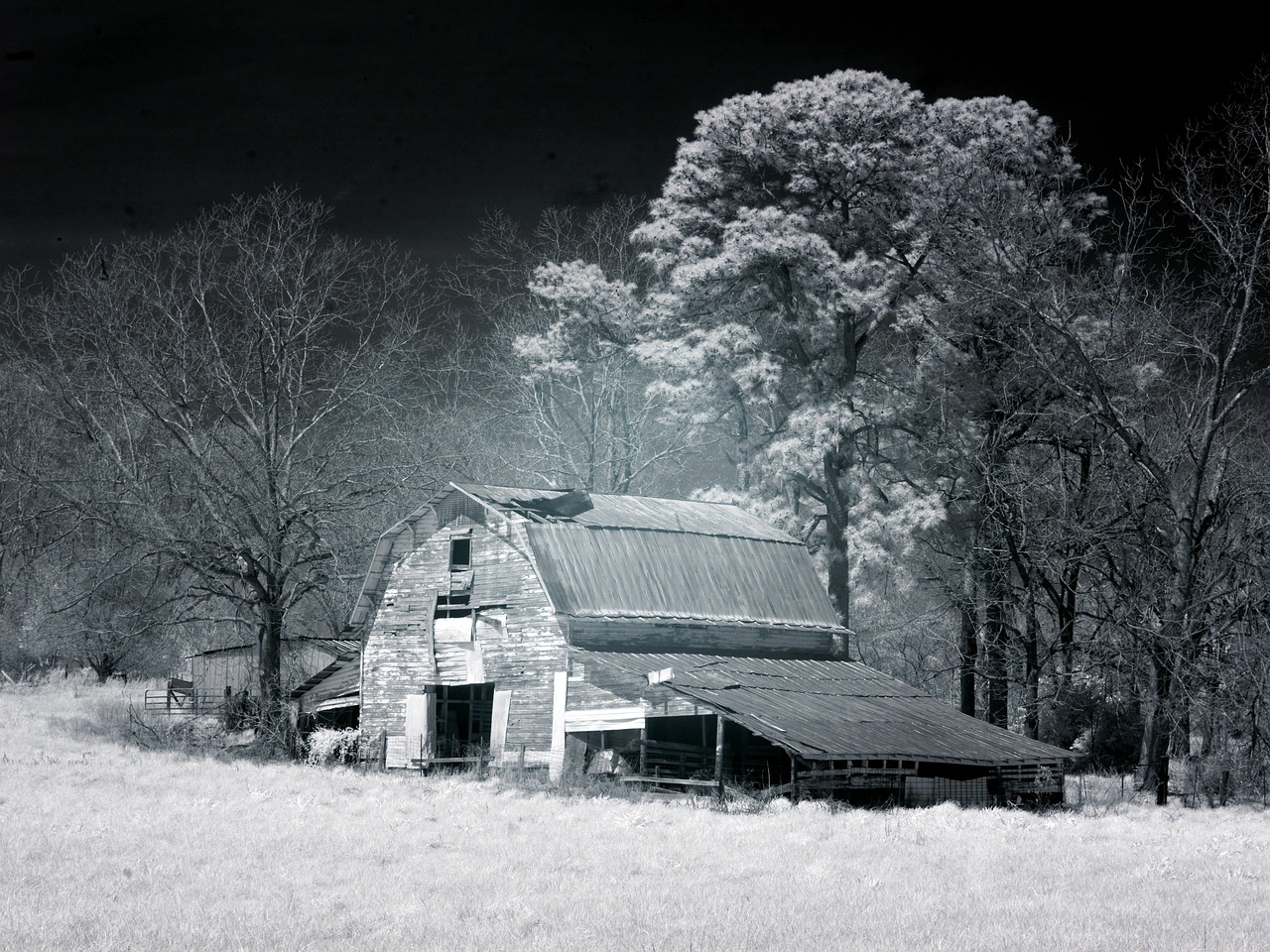 barn stadl agriculture free photo