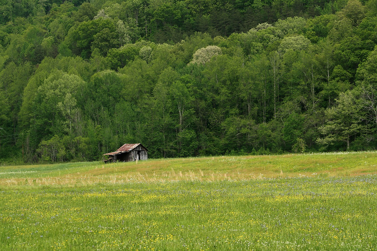 barn field abandoned free photo