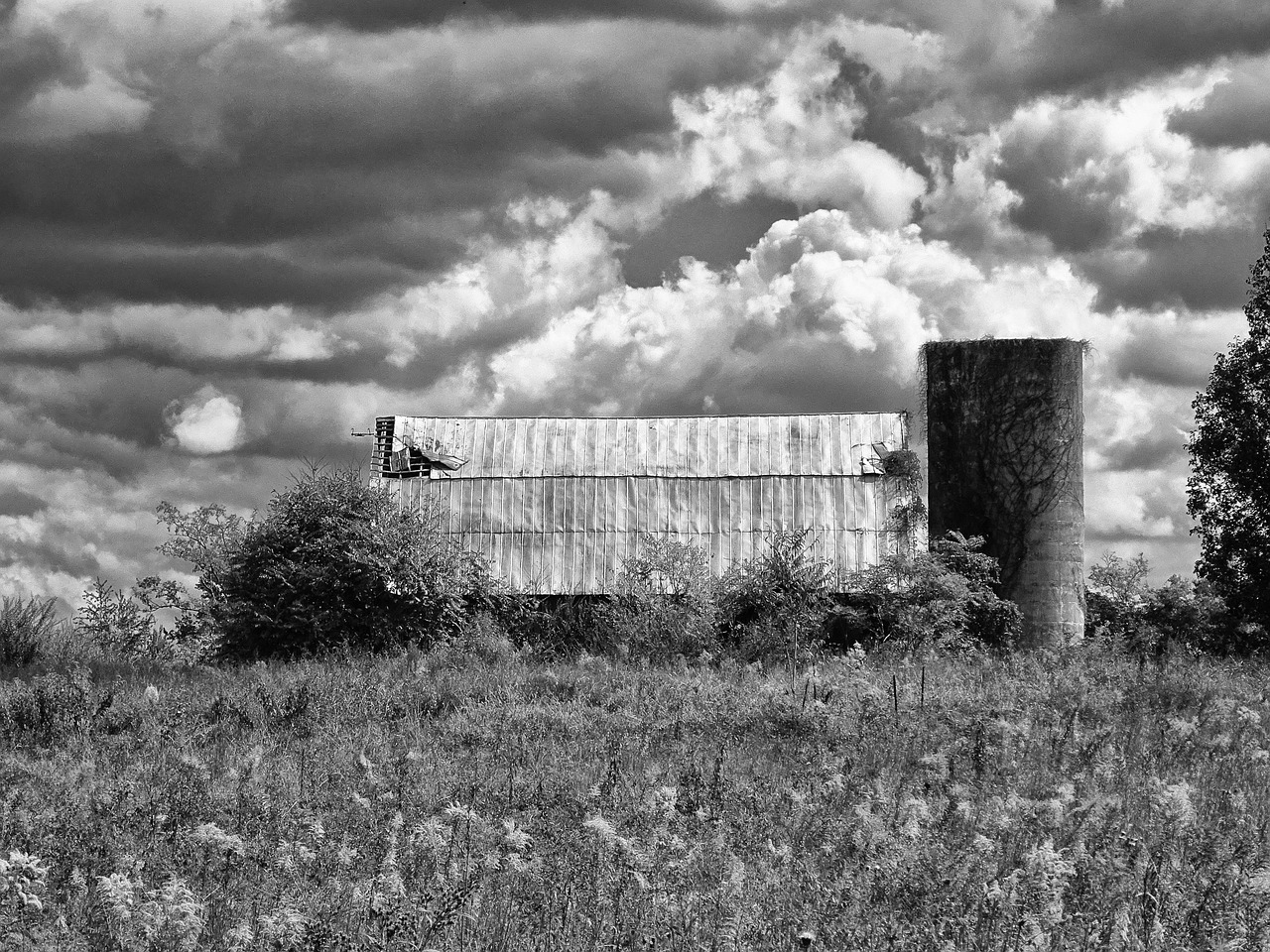 barn farm rustic free photo