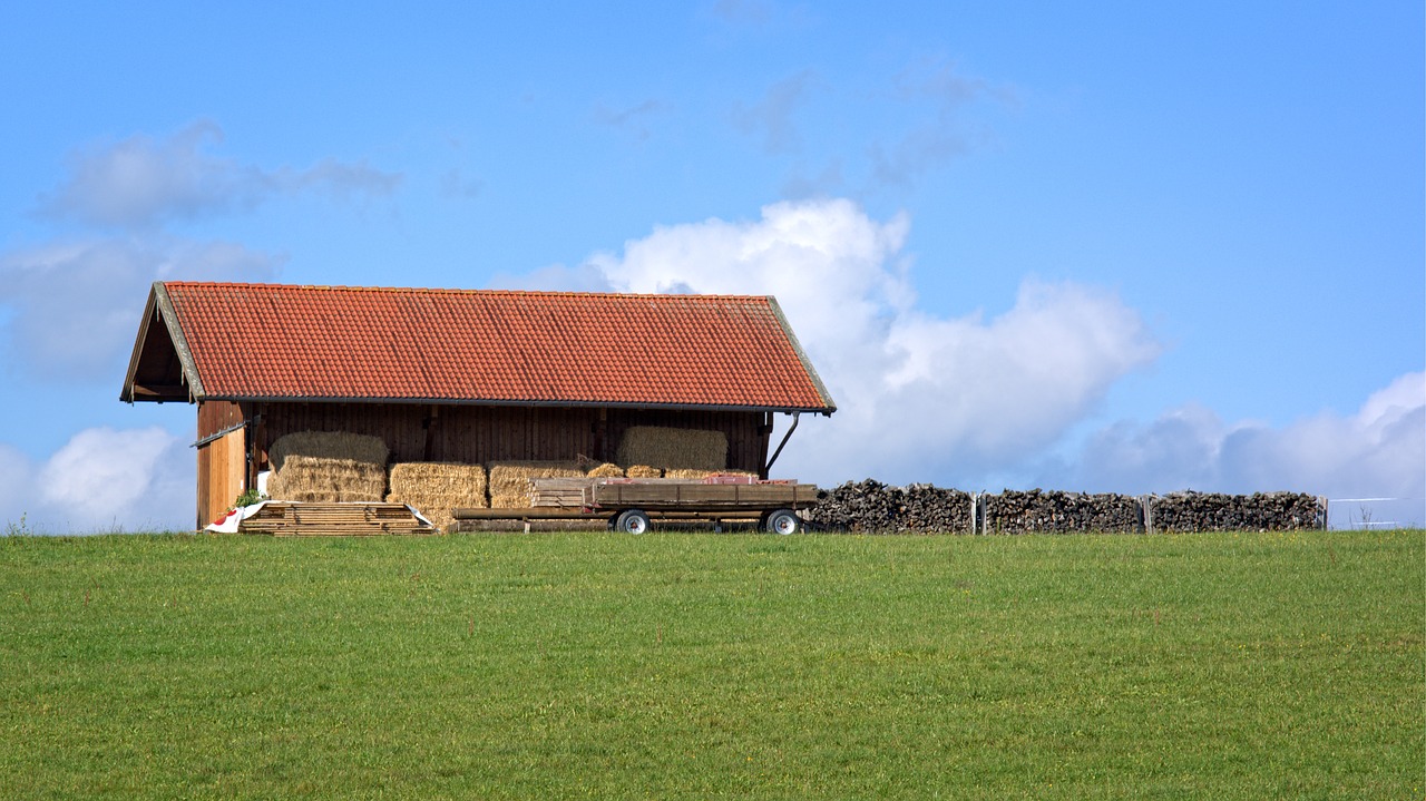 barn scale stock free photo