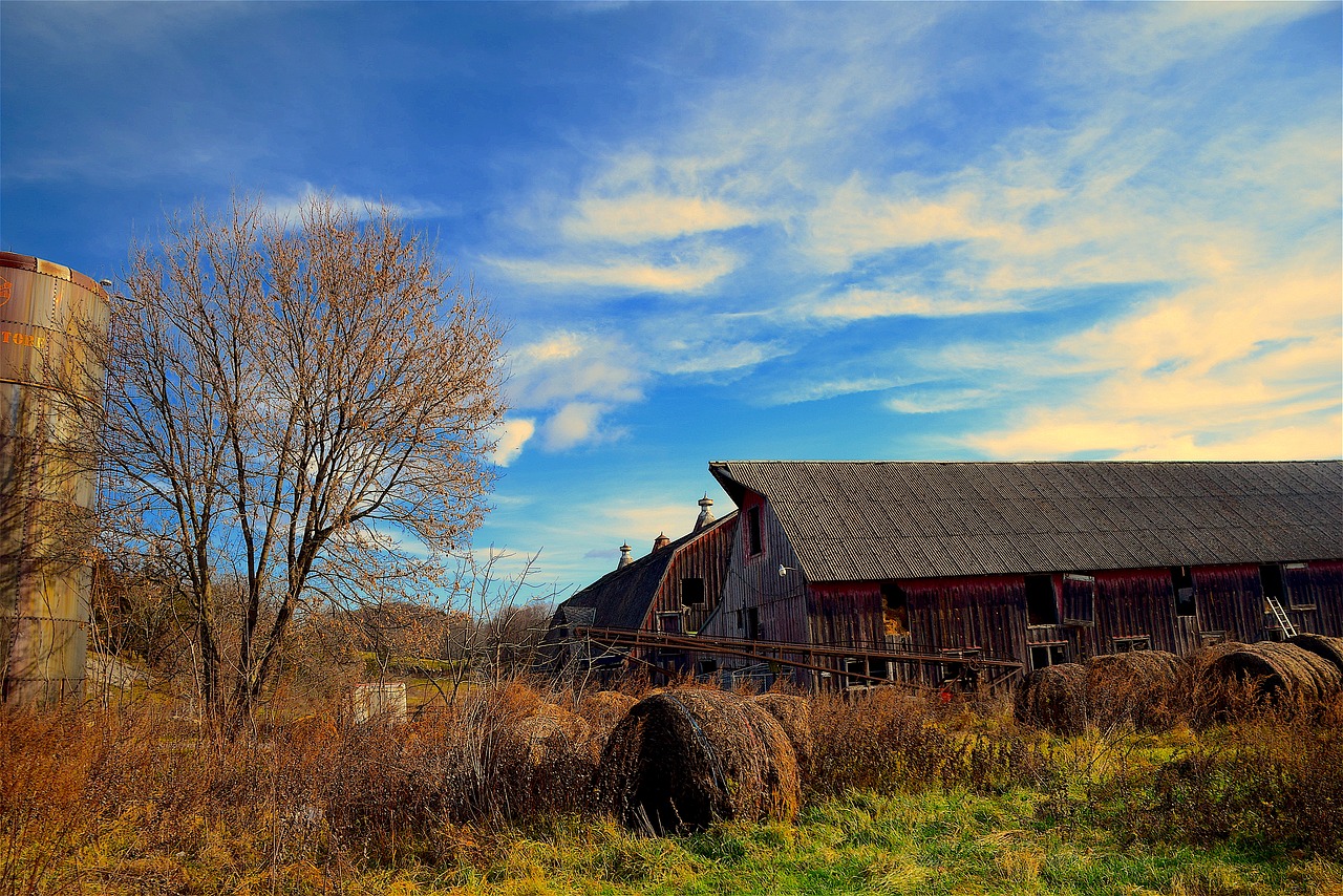 barn farm agriculture free photo