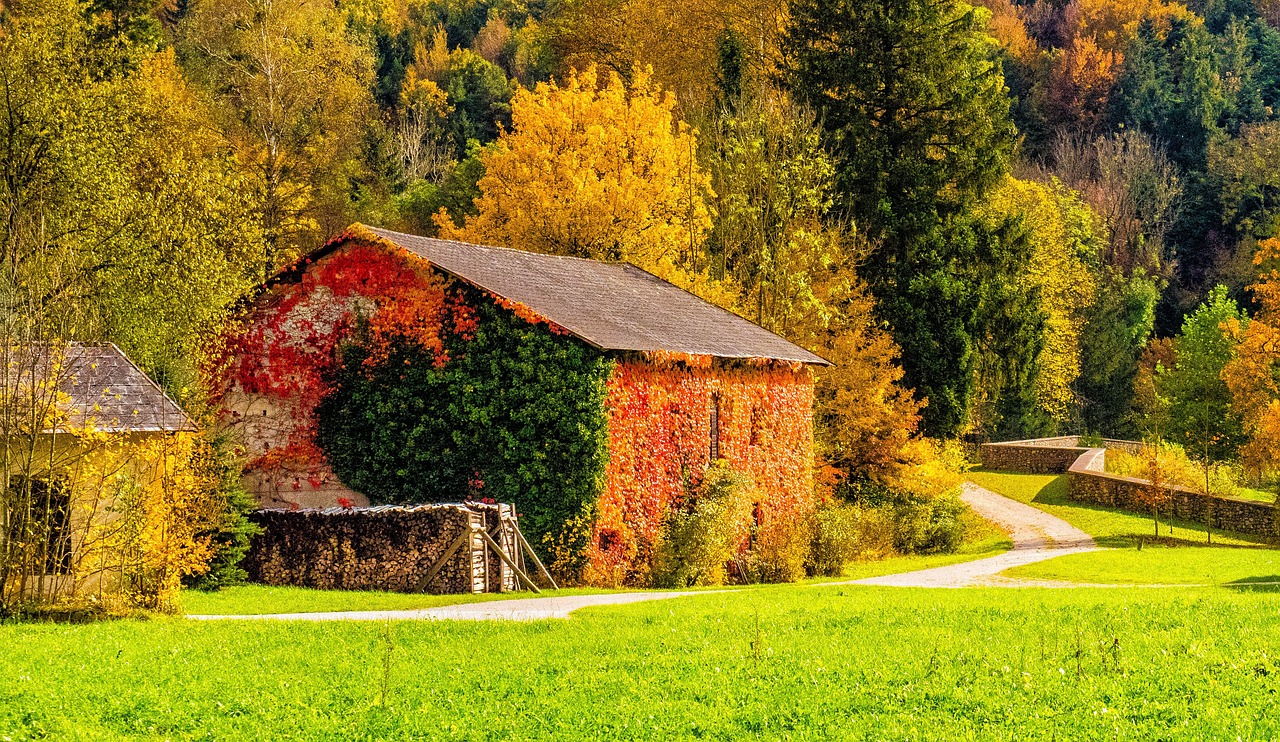 barn countryside autumn free photo