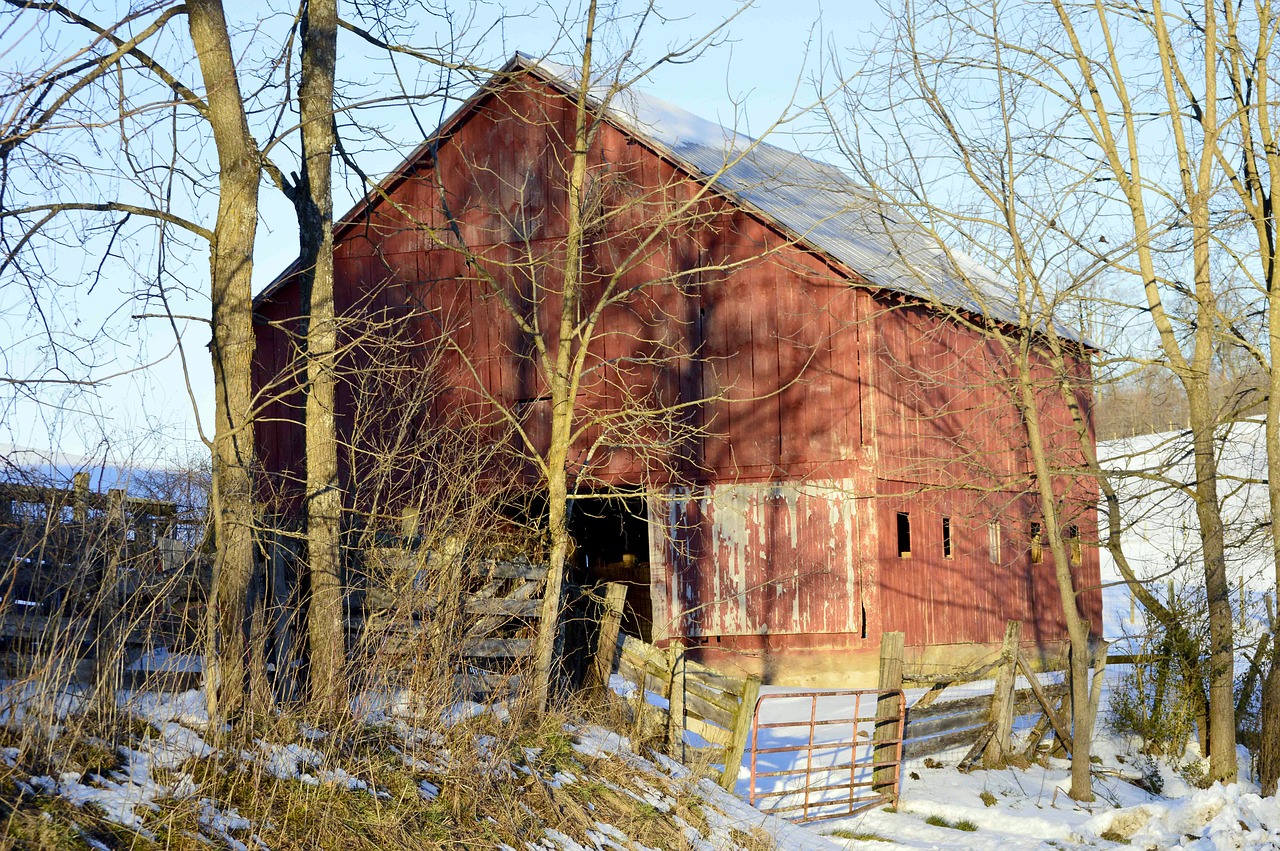 barn red snow free photo