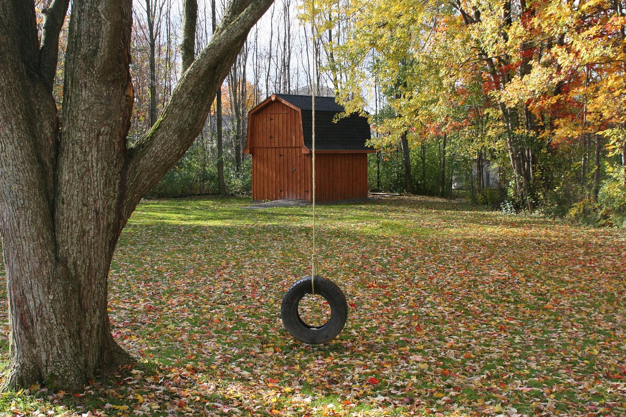 barn tire swing free photo