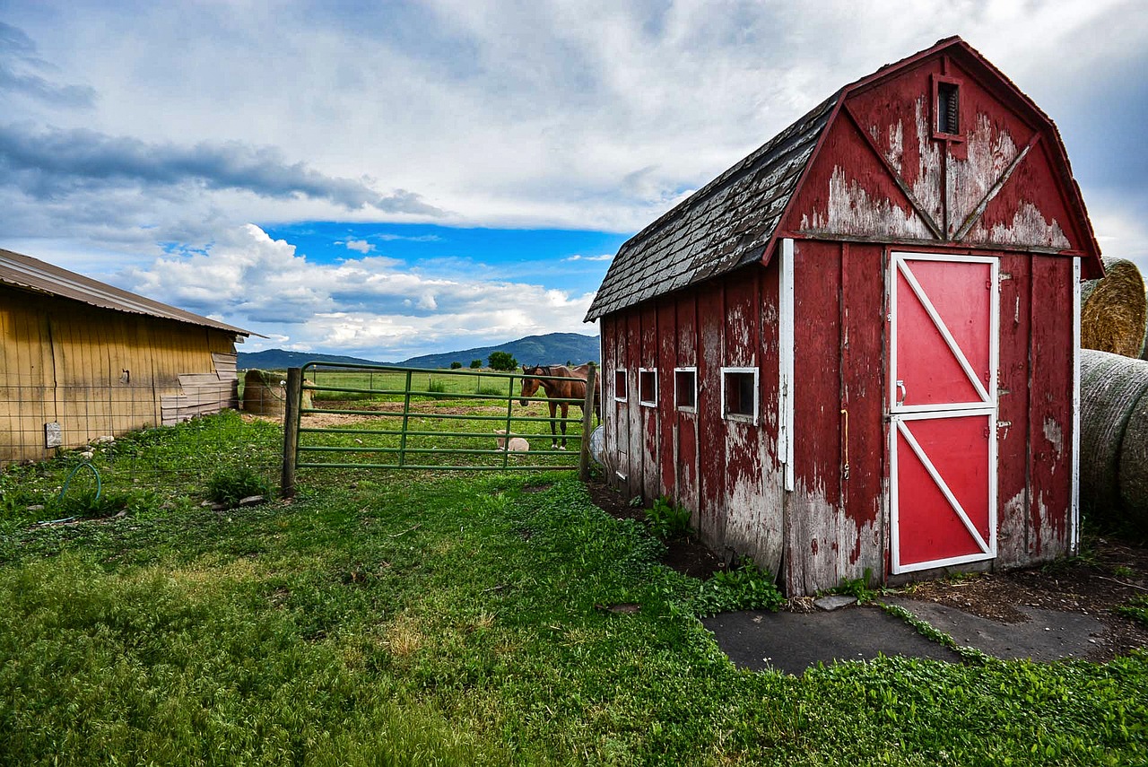 barn old horse free photo