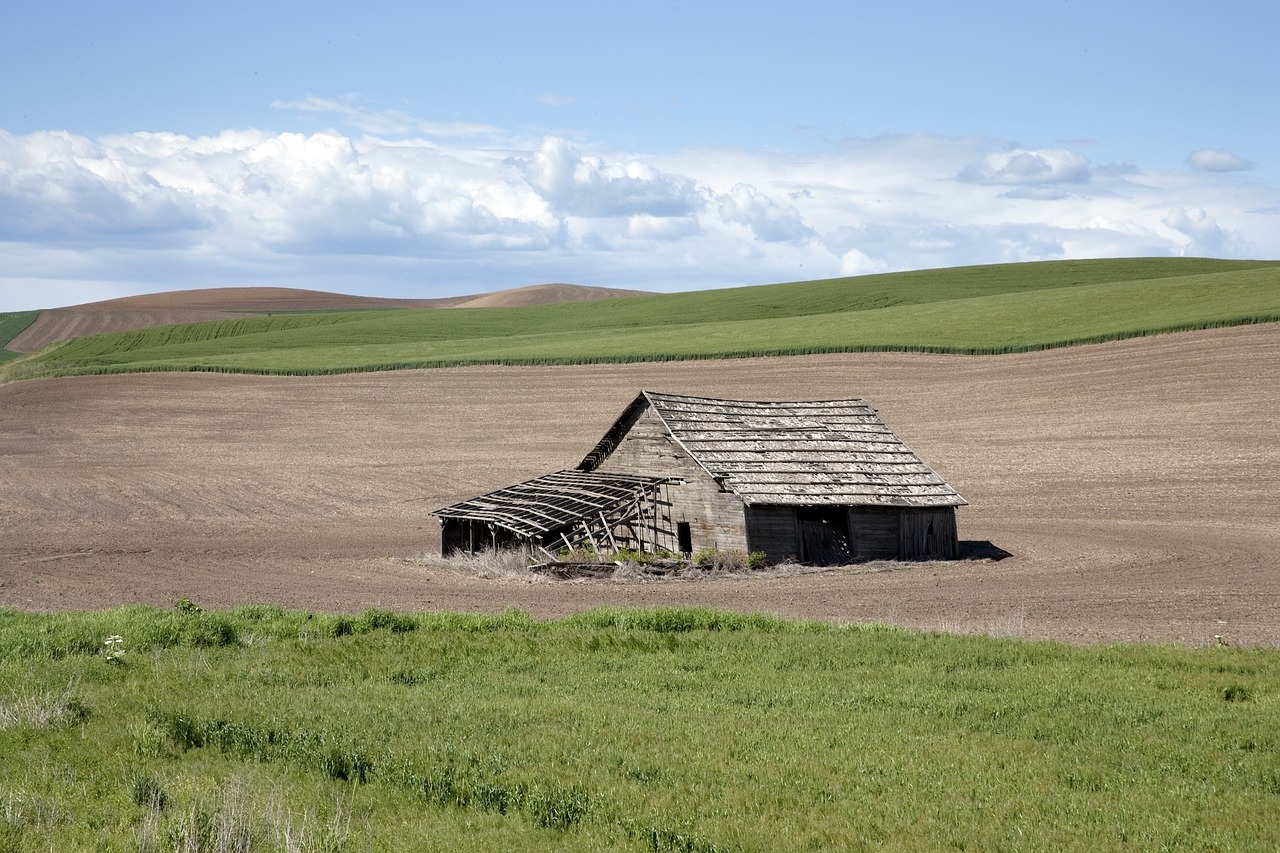 barn field wood free photo