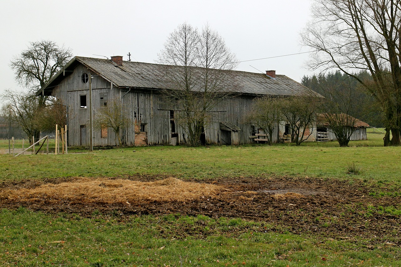 barn farm farmhouse free photo