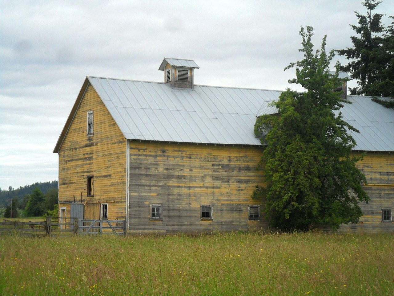 barn weathered rustic free photo