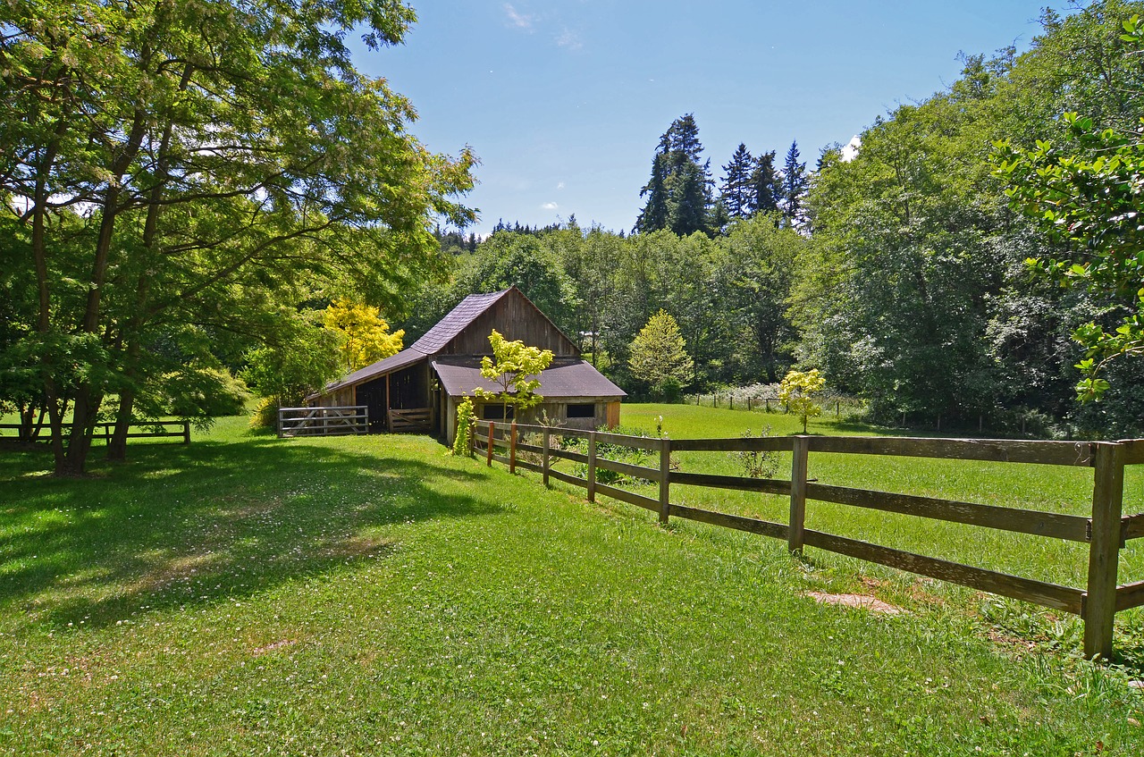 barn rural horses free photo