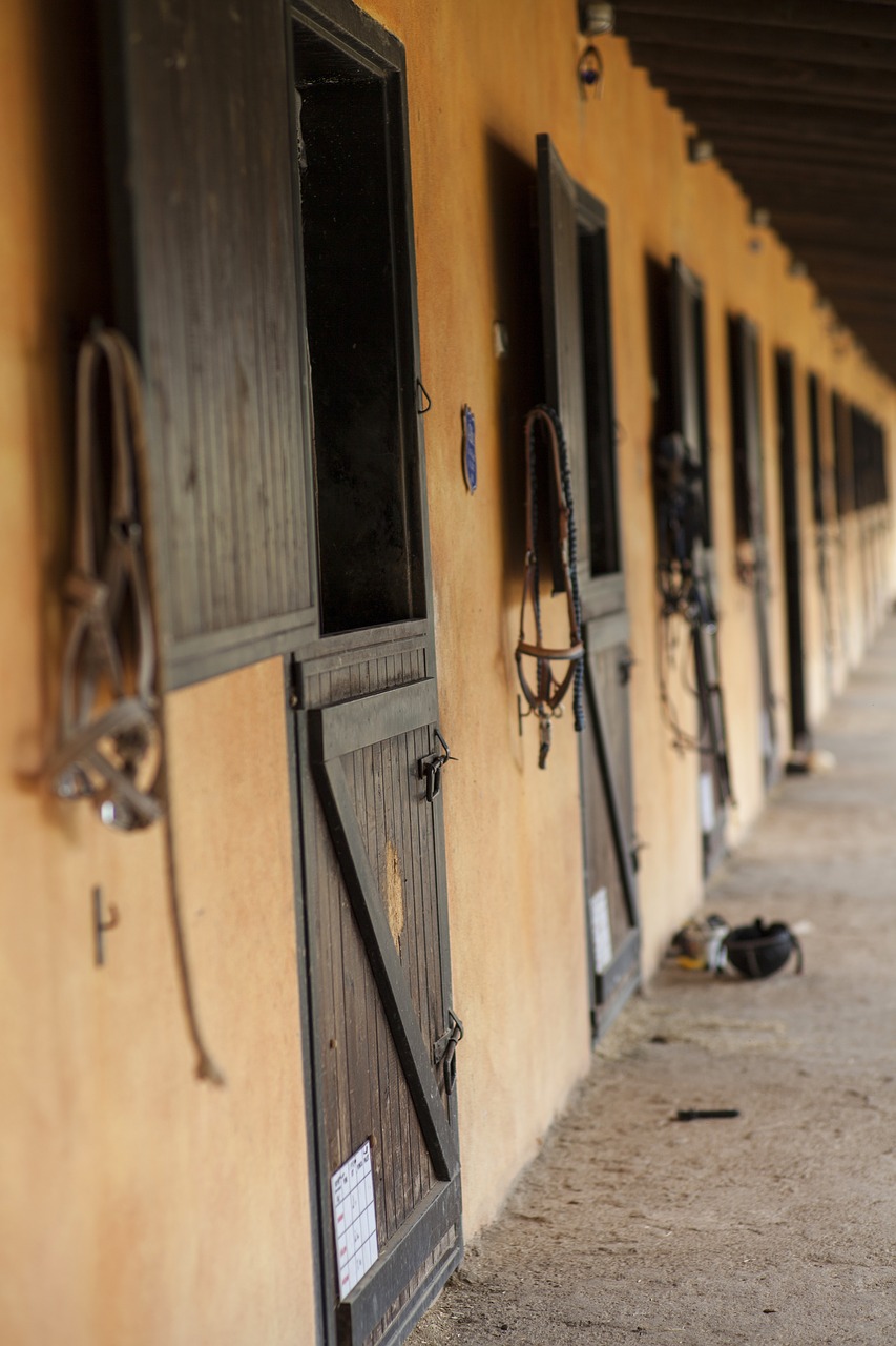 barn horse animal free photo