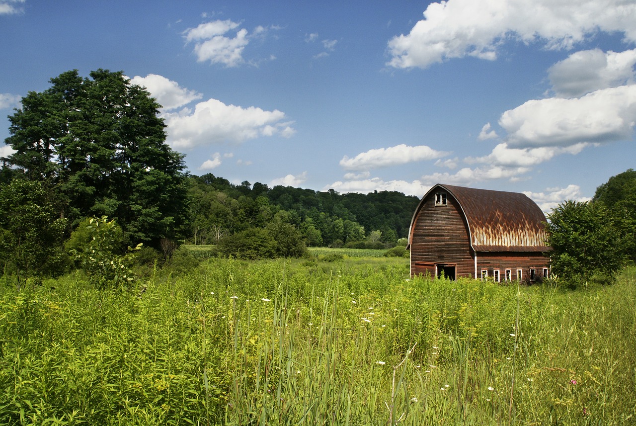 barn field agriculture free photo