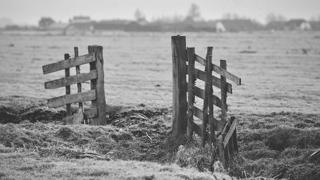 barn field plant free photo